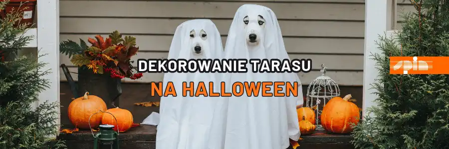 Dekorowanie tarasu na Halloween, proste pomysły z Pinterest, które zrobią klimat na tarasie i w domu Spin Szczecin